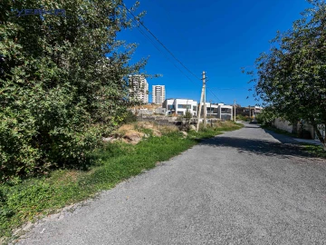 Земля Код 10+620276