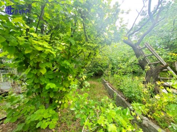 Land areas Code: 2+61078