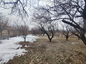 Land areas Code: 4+615798