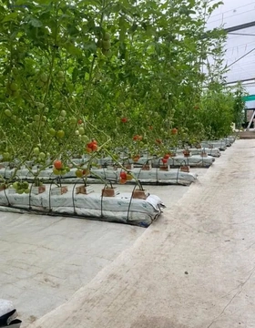 Land areas Code: 2+6400744