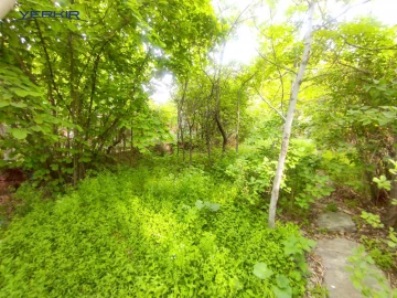 Land areas Code: 2+610099