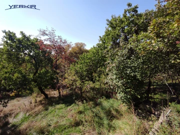 Հողատարածք Կոդ` 8+613489