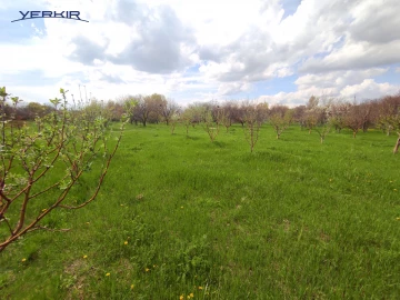 Land areas Code: 10+609984