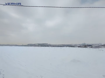 Земля Код 10+615625