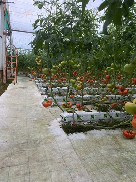 Land areas Code: 2+6400744