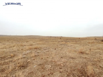 Land areas Code: 8+606687