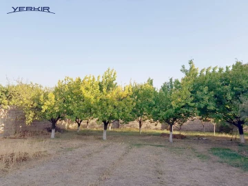 Land areas Code: 2+610092