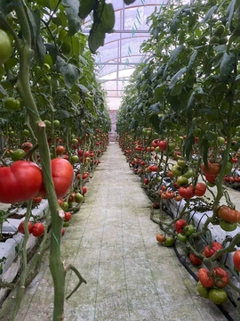 Land areas Code: 2+6400744