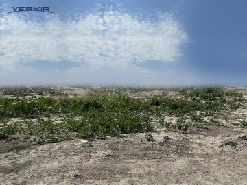 Land areas Code: 4+610009