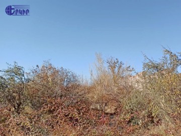 Land areas Code: 10+60313