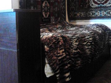 Apartments Code: 7+10037