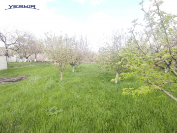 Дома Код 10+509919