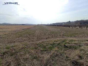 Земля Код 10+609269