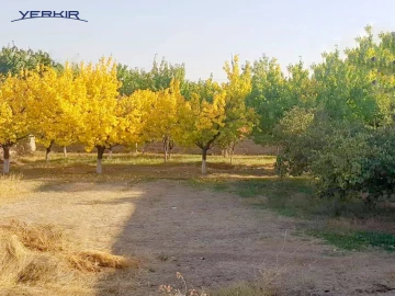 Land areas Code: 2+610092