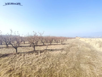 Земля Код 8+607607