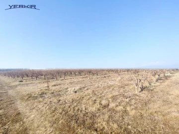 Земля Код 8+607607