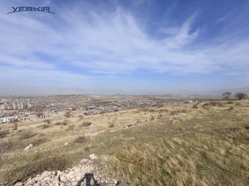 Land areas Code: 10+613941