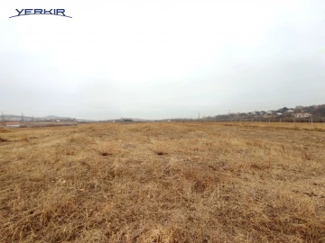 Land areas Code: 8+606684