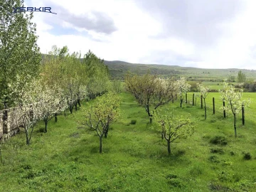 Land areas Code: 4+609453