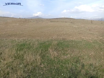 Land areas Code: 10+609316