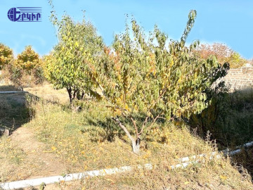 Houses Code: 2+50040