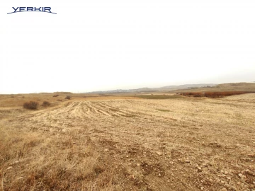 Land areas Code: 8+606665