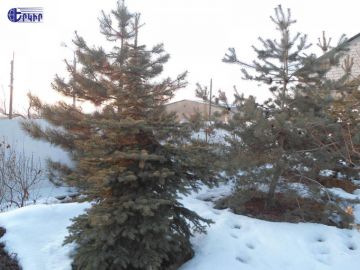 Дома Код 5+50302