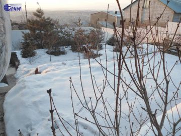 Дома Код 5+50302