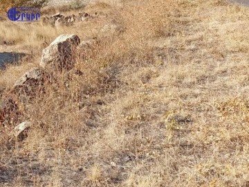 Հողատարածք Կոդ` 10+60314