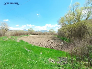 Land areas Code: 9+609907