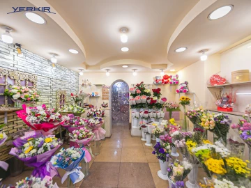 Կոմերցիոն Տարածքներ Կոդ` 1+920825