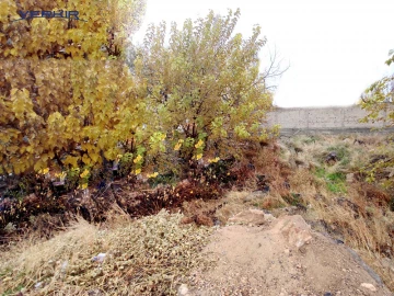 Land areas Code: 8+606656