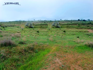 Land areas Code: 9+610563