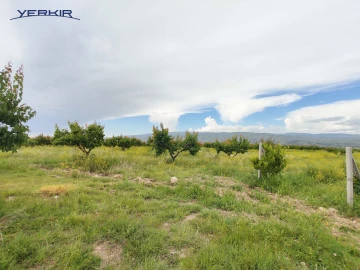 Land areas Code: 10+618397