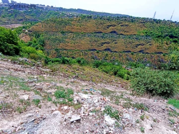 Land areas Code: 10+610685