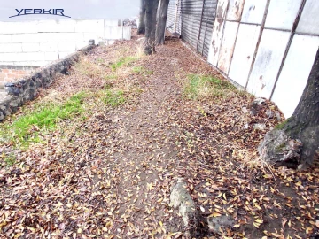 Land areas Code: 8+606713