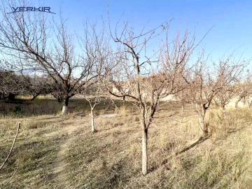 Land areas Code: 2+610092