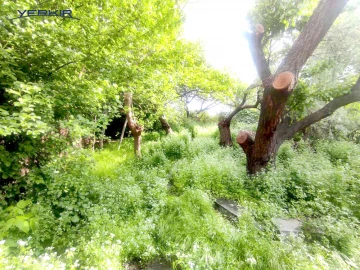 Land areas Code: 2+610099