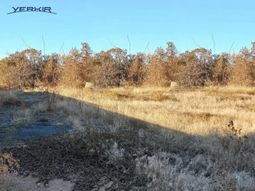 Land areas Code: 8+601595