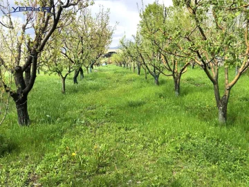 Land areas Code: 4+609453