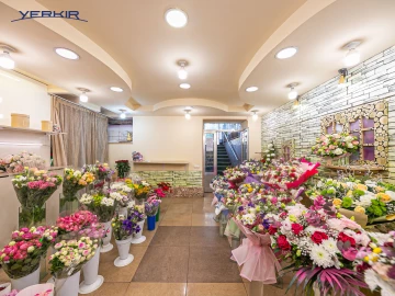 Կոմերցիոն Տարածքներ Կոդ` 1+920825