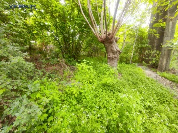 Land areas Code: 2+610099