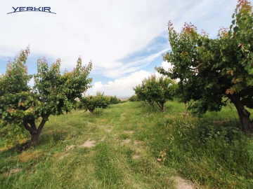 Land areas Code: 10+618397