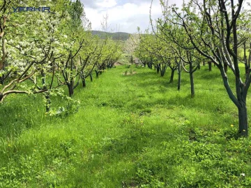 Land areas Code: 4+609453