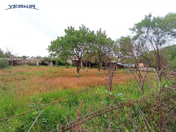 Land areas Code: 10+610826