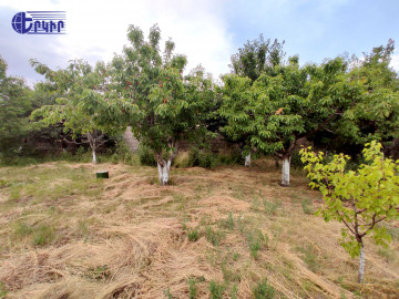 Հողատարածք Կոդ` 10+603455