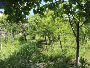 Земля Код 2+60927