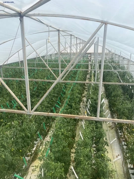 Հողատարածք Կոդ` 2+6663378