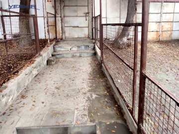 Land areas Code: 8+606713