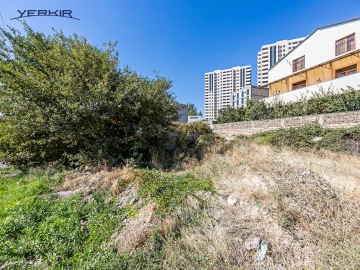 Земля Код 10+620276